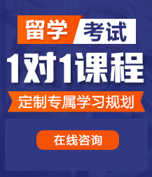 被大几把操的视频留学考试一对一精品课